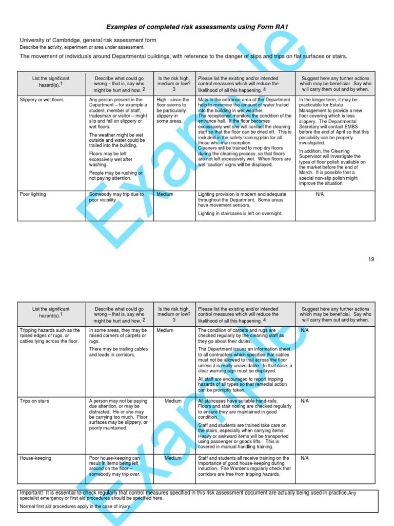 Examples of Completed Risk Assessments Using Form RA1 | PDF | Personal ...