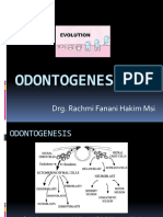 Odontogenesis Blok 4 2012
