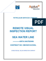 Sample Report - Rvi - KNPC