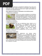 Adaptaciones de Los Seres Vivos