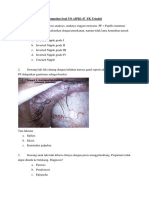 Soal AIPKI Februari 2019