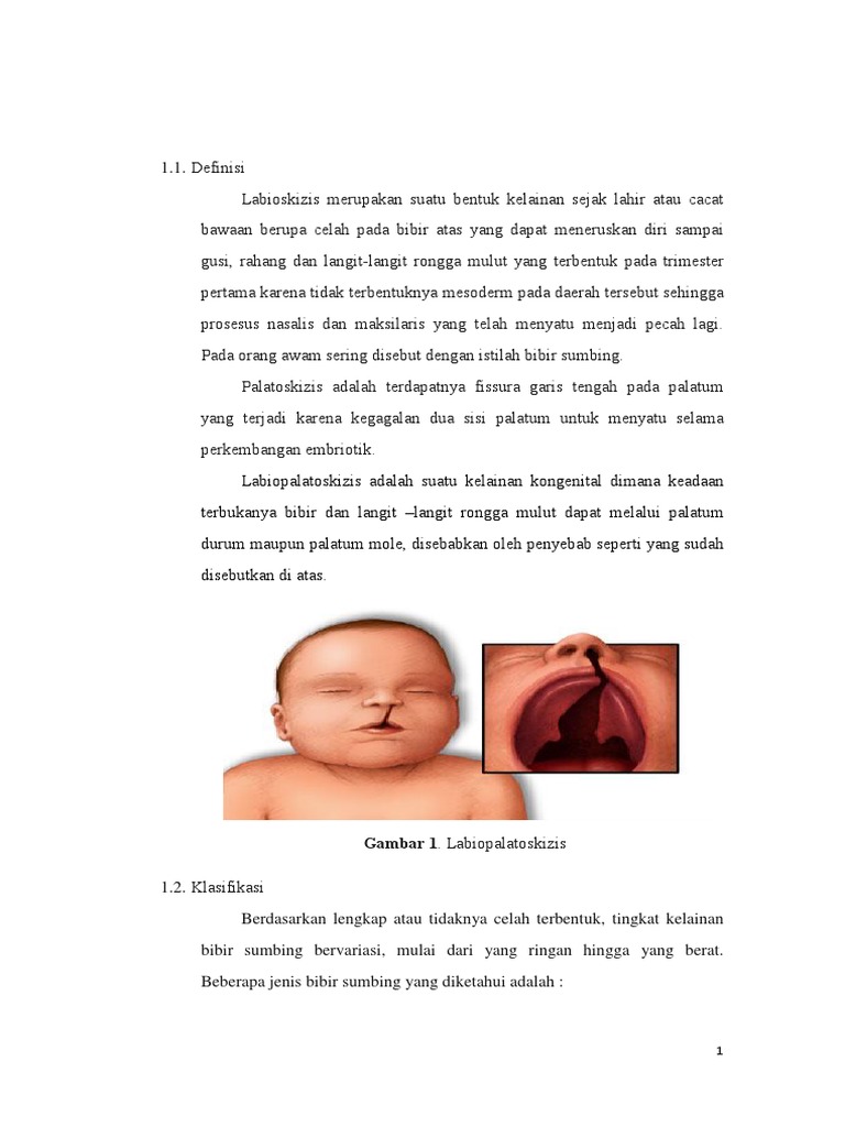 Labioskizis Dan Palatoskizis | PDF