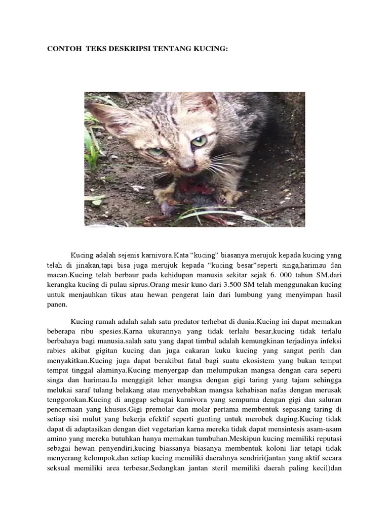 Contoh Teks Deskripsi Tentang Kucing | PDF