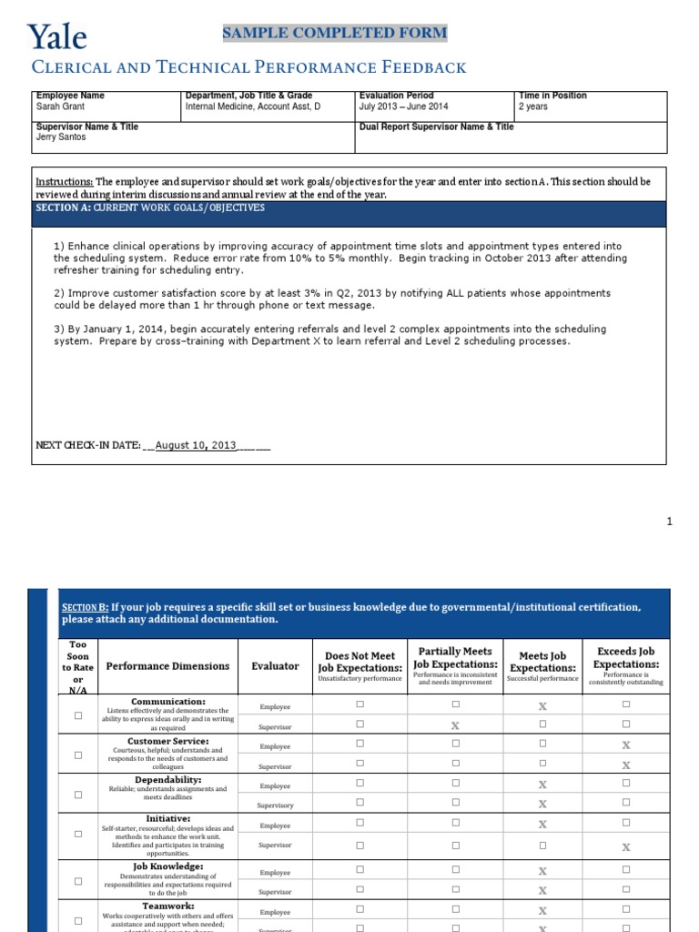 Sample Completed Form: Section A: Current Work Goals/Objectives | PDF ...