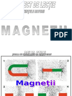 Magnetii