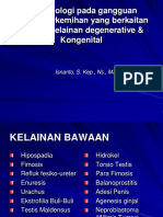 #Pathofis Penyakit Degeneratif dan Kongenital Blok Perkemihan Isn1.pdf