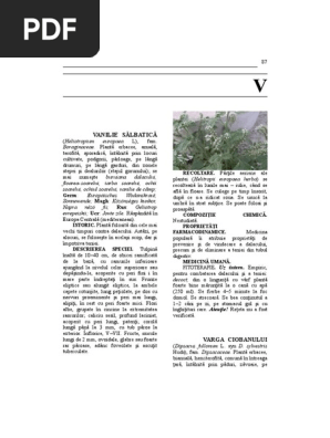 VV  PDF