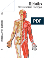 MINI ATLAS ΜΥΣΟΣΚΕΛΕΤΙΚΟ ΣΥΣΤΗΜΑ PDF