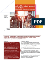 Barometrul forței de muncă realizat PwC.pdf
