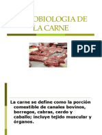 microbiologia-de-la-carne.pdf