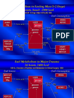 Perhitungan Nutrisi Parenteral Sorted