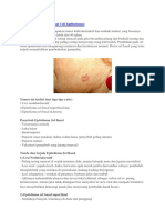 Basal Cell Carcinoma (BCC) Guide