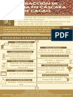 Infografia Cacao PDF