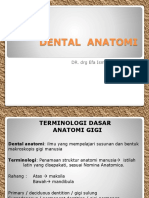 TERMINOLOGI DASAR anatomi gigi.ppt