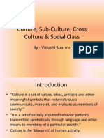 Culture, Sub-Culture & Cross Culture