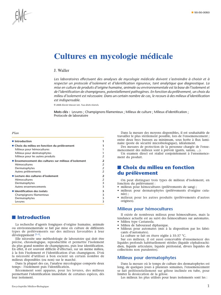 Cultures En Mycologie Medicale Champignons Candida