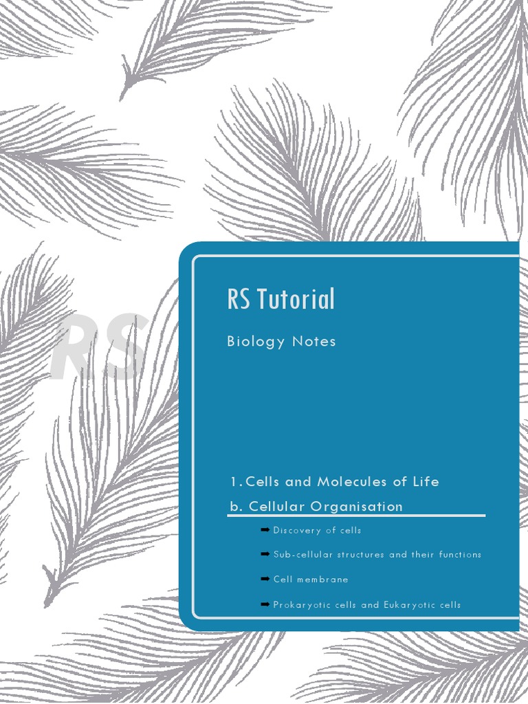 Cells and Cellular Organization Guide | PDF | Science & Mathematics