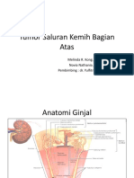 tumor ureter ppt.pptx