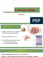 Kelainan Adrenal