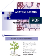 KULIAH 6 ANATOMI BATANG.pdf