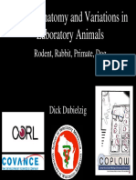 Ocular Anatomy and Variations in Laboratory Animals: Rodent, Rabbit, Primate, Dog