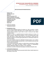 Modelo Informe NPS Word