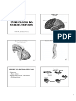aula 01 Sistema Nervoso - Embriologia Neuroanatonia.ppt.pdf