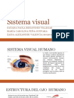 Sistema visual humano: estructura, funciones y fenómenos del ojo