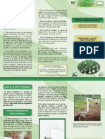 produccion_uso_acido_pirolennoso.pdf