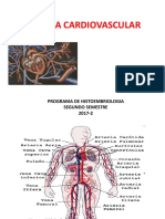 Sistema Cardiovascular Histoembriologia Copia