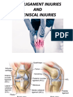 Knee Ligament Injuries AND Meniscal Injuries