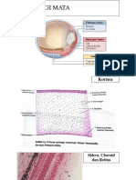 Histologi Mata