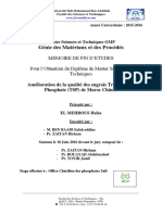 Amelioration de La Qualite Des - EL MEHROUS Hafsa - 3218 PDF