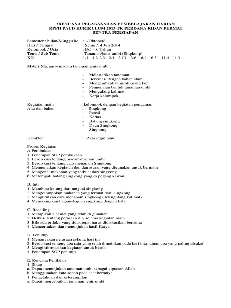 RPPH | PDF