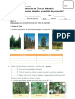 Evaluación de Ciencias Naturales (Plantas-Recursos-Medidas)