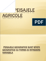 Peisajele Agricole