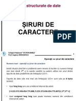 02 Siruri de Caractere 09