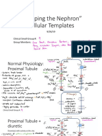 "Mapping The Nephron" Cellular Templates: Gina Bartoni Lana Daniel Shin