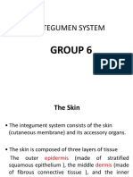 Integumen System