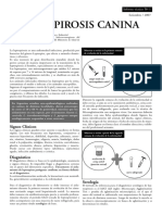 Informe_leptospirosis_tcm55-33327.pdf