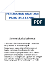 TP 1, Anatomi