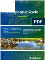 Phosphorus Cycle Share