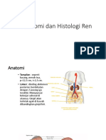 Anatomi Dan Histologi Ren