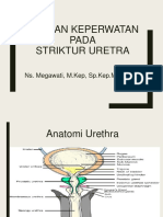 Askep STRIKTUR-URETRA