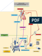 Derivacion Cardiopulmonar