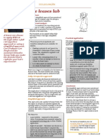 The Leases Lab: Hypothesis