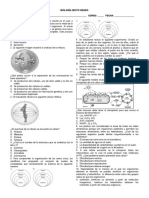 Pepa Iip Sexto Biología 2018