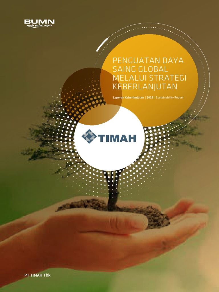 CSR PT Timah PDF PDF