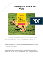 PAKET HEMAT! WA 0852-8000-8050 - Distributor Dog Food Caliber