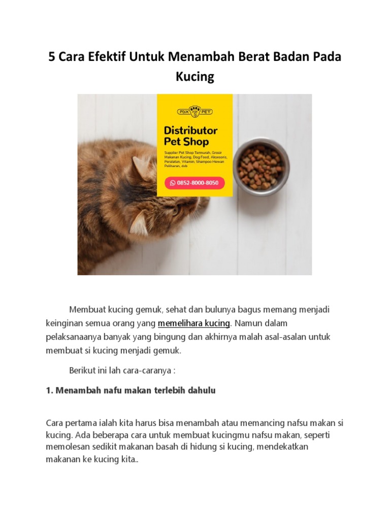 WA 085280008050 Distributor Dog Food Indonesia PDF